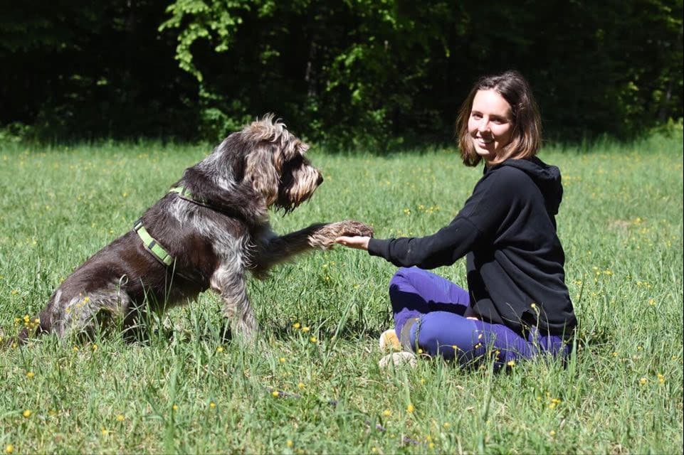 Hund gibt Pfote, Trainerin im Gras